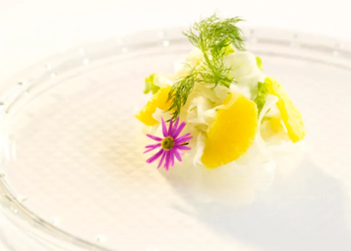 Otel Grand 4* Superior - Terme & Wellness Lifeclass